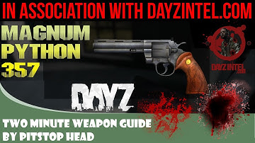 Dayz Standalone Weapon Guide to the Magnum Python
