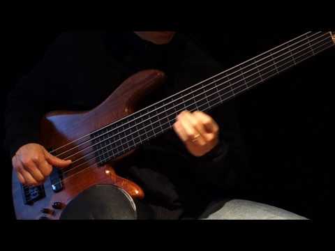 six-string-fretless-bass-solo-&-ebow-to-r-e-l-a-x---healing-sun