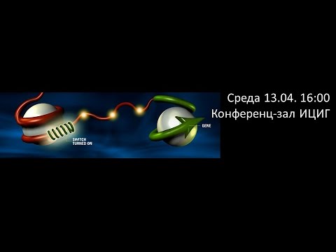 Video: Polymorfismus V LncRNA AC016683.6 A Jeho Interakce S Expozicí Kouření Na Náchylnost K Rakovině Plic