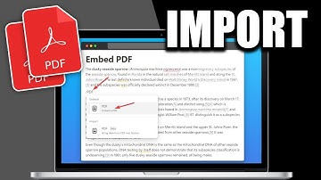 How To Import/Embed PDF File In Notion (Easy 2025 Guide)