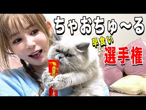 【保護猫】ちゃおちゅ〜る早食い選手権やってみました！