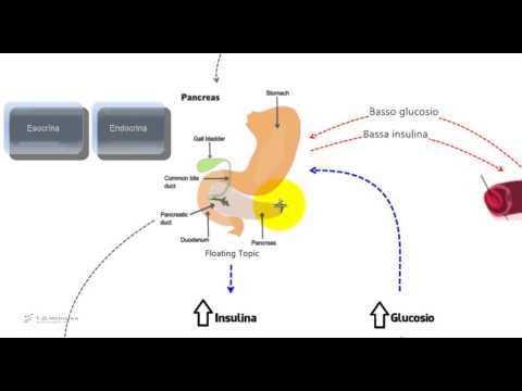 Insulina e glucosio. Riassunto e schema per il tes di medicina