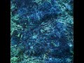 Ichiko Aoba – Luminescent Creatures – File (AAC, Album
