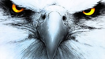 Scatter Plots and Trend Lines