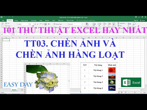 THỦ THUẬT 03:  Chèn ảnh, chèn ảnh hàng loạt vào Ô