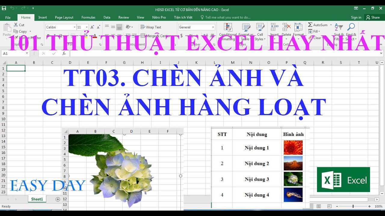 THỦ THUẬT 03:  Chèn ảnh, chèn ảnh hàng loạt vào Ô