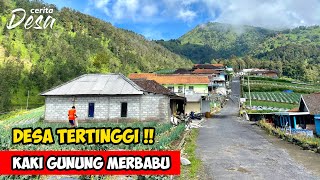 DESA TERTINGGI DI LERENG GUNUNG MERBABU - Cerita Desa Selo, Novi Petani Hepi - Cerita Desa Indonesia