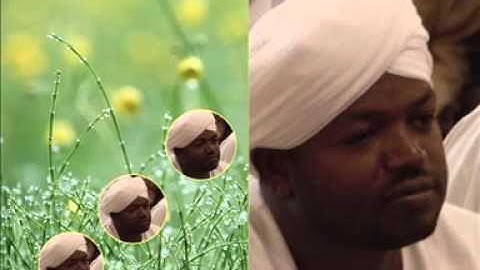 سورة ق ـ الشيخ نورين صديق ــ رواية الدوري عن ابي عمرو