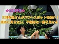 【貴重映像】三浦春馬さんがパワースポットを紹介！滅多に見せない、不器用な一面を見せる！