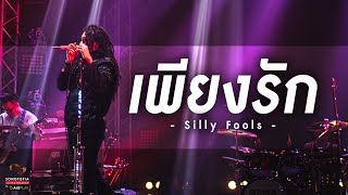 เพียงรัก - Silly Fools | Songtopia Livehouse