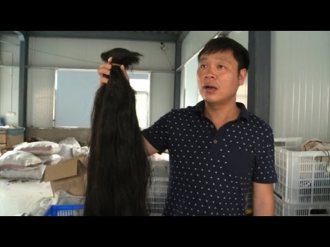 فيديو: كيفية استعادة شعر الإنسان الباروكات (بالصور)