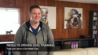 Dog training Review  Sunnidale Boarding Kennels