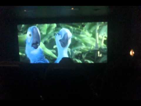 Drop It Low Bird From Rio