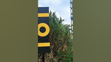 Signals of Railway #railway #shortsviral
