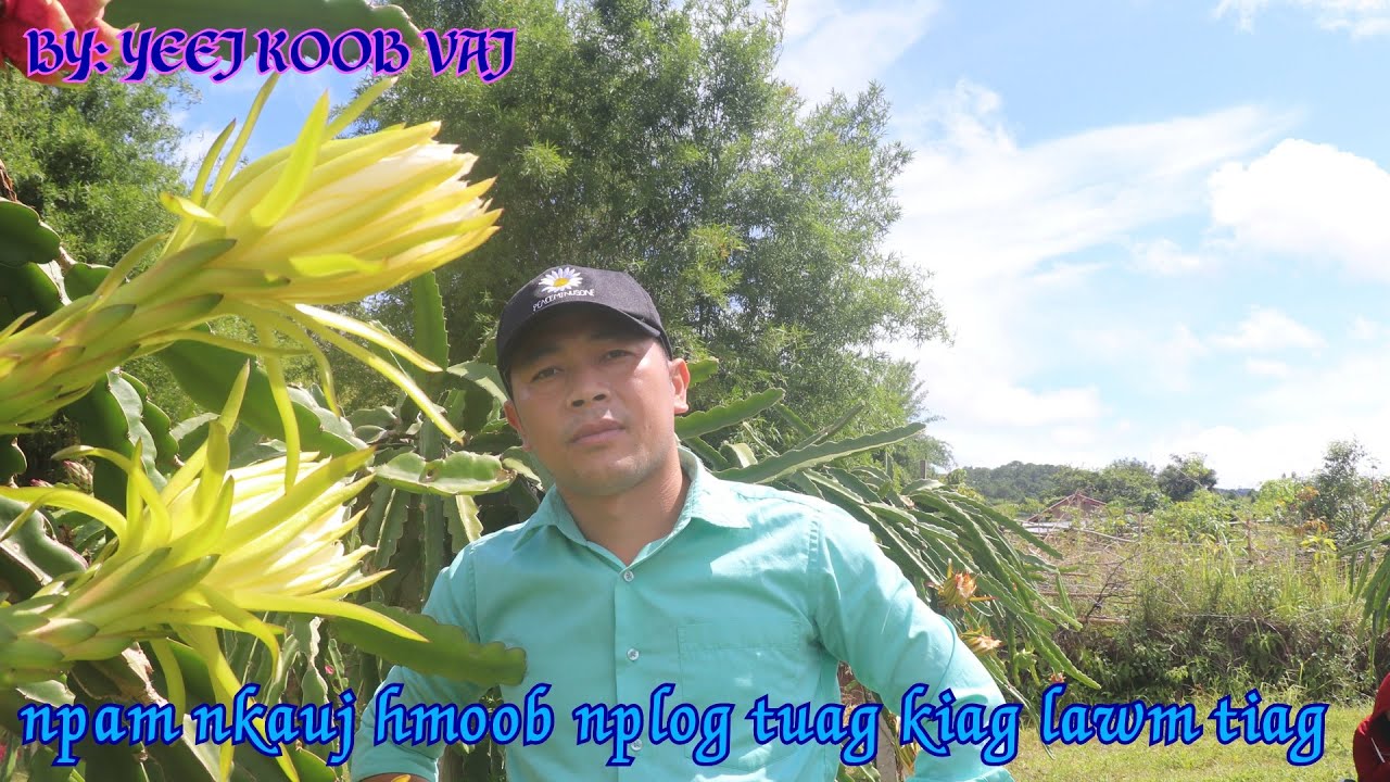 npam nkauj hmoob nplog tuag kiag lawm 12/25/2021