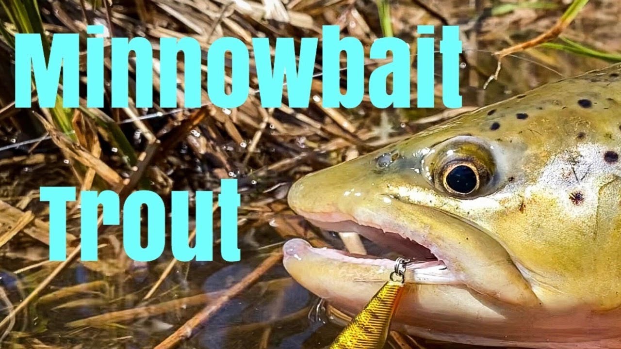 How to Fish Minnow Baits for Aggressive Brown Trout (stop using spinners!)  