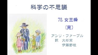 「科学の不思議」78. 女王蜂（完）　アンリ・ファーブル　訳：大杉栄・伊藤野枝