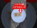ベトナムにコアラのマーチをパクられていました！#和歌山 #オバクルメン #コアラのマーチ#ベトナム