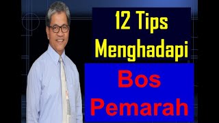 Download Lagu 12 Tips for Dealing with an Angry Boss MP3