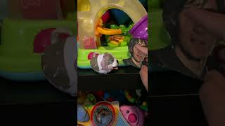 Capulet in the Toy Caves