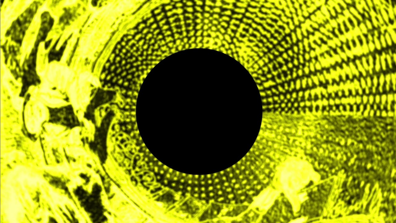 Guarda Phonogenic - Utopian Lawrence su YouTube Guarda Phonogenic - Utopian Lawrence su YouTube