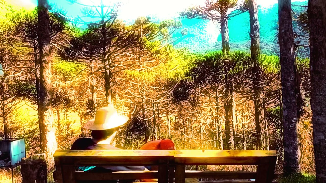 Octavio & Lorenzo - NOS - OL06   Cartas