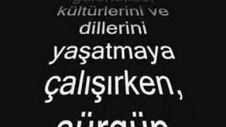 Karacay sinevizyon gösterisi