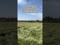 Picturesque Places Creator Hub Creative Inspiration Agriculture Rural Areas and Farmers Ne