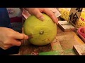 The BEST Way To Open &amp; Eat a Pomelo 切開泰國金柚 A pomelo is a giant citrus fruit. Fruit Ninja