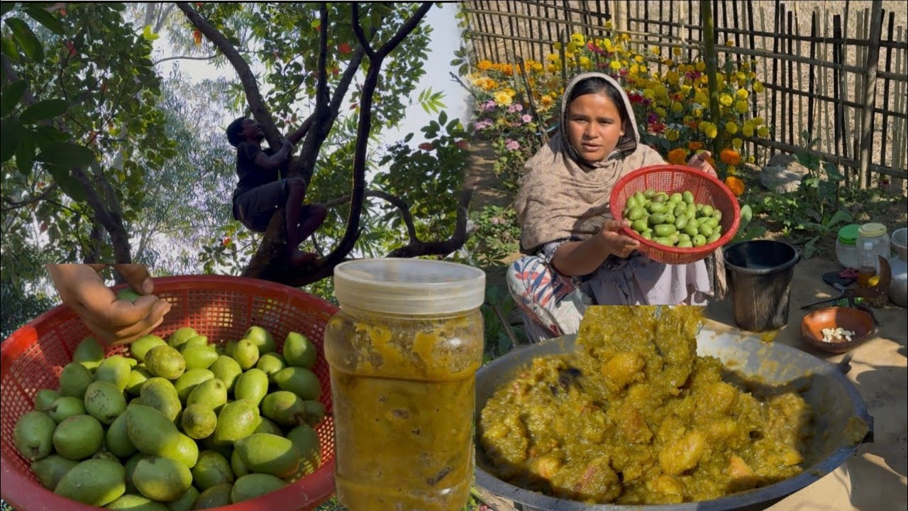 গাছ পাকা জলপাই কুড়িয়ে এনে টক ঝাল মিষ্টি আচার বানিয়ে নিলাম | Villfood by Laki