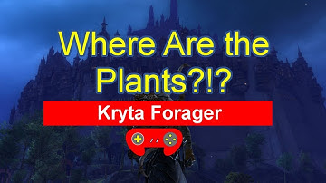 Guild Wars 2 - Kryta Forager Daily - Every Map