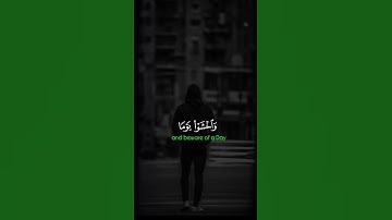 الشيخ ياسر الدوسري تلاوة القرآن الكريم #اكسبلور #المصحف