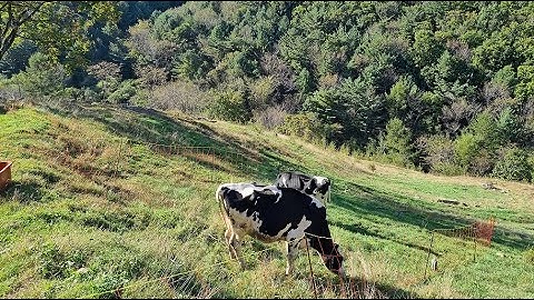 11/10 농지는 다시 구해요. 전연하 여성 참가자도 구해요! - 키토제닉/전래식단/재생농업 Q&A