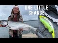 One CHANGE Resulted in 3 CHINOOK! Anchor Fishing For Chinook Salmon | Pro Tips & Tricks |