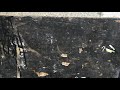 Street art video BCN – graffiti video, streetart video, street artist Barcellona