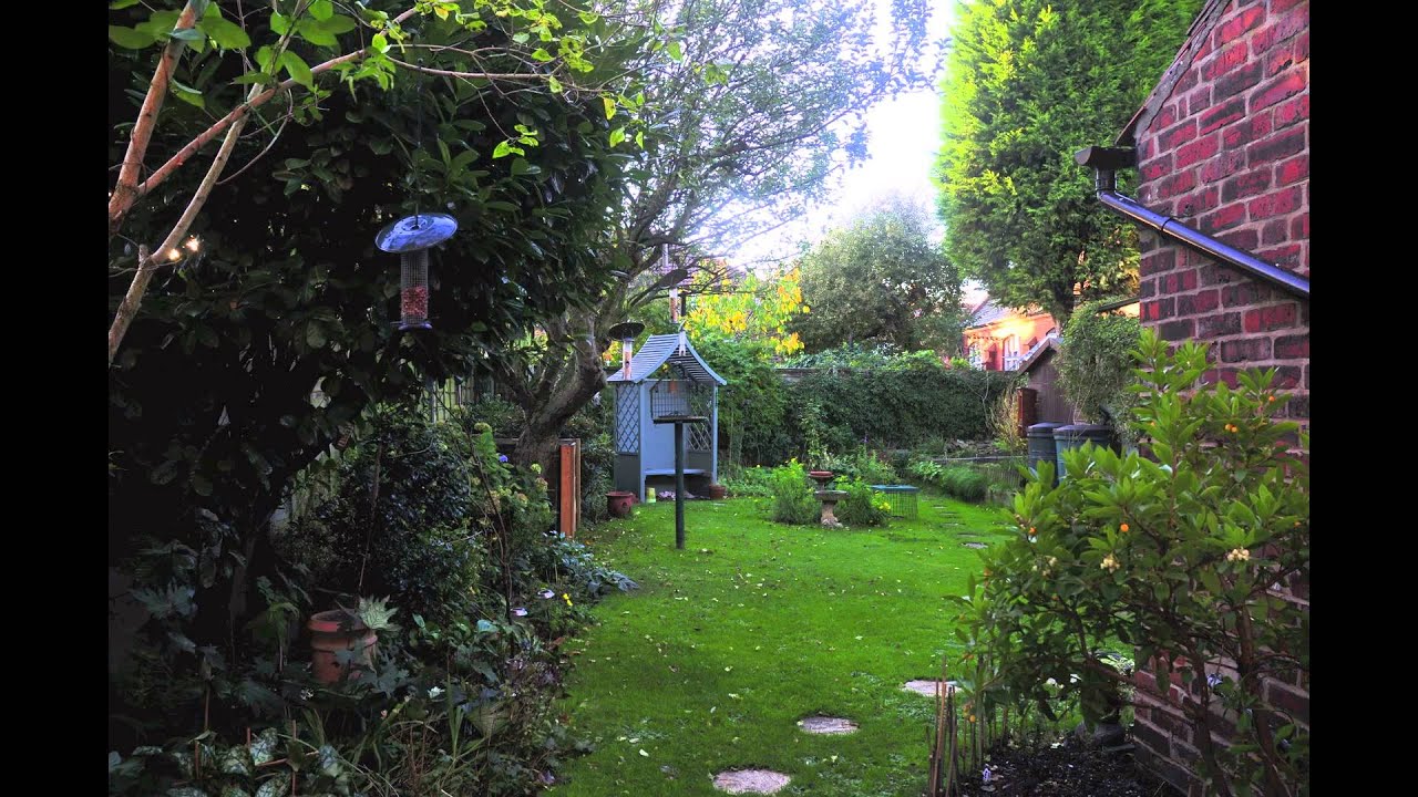 wildlife tea Busy Squirrel Time Lapse