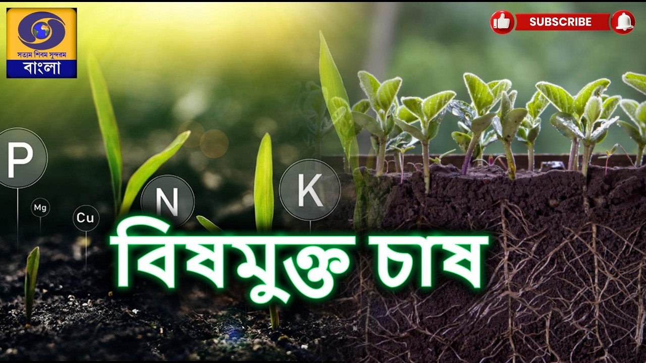 কৃষিদর্শন  :  বিষয় : বিষমুক্ত  চাষ ও আগামী প্রজন্ম: Poison-Free Cultivation  @DDBanglaTV #ddbangla