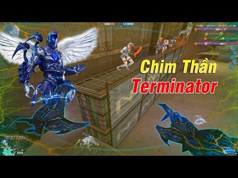 Làm Liên Tục Chim Thần Terminator CF - Rùa Ngáo