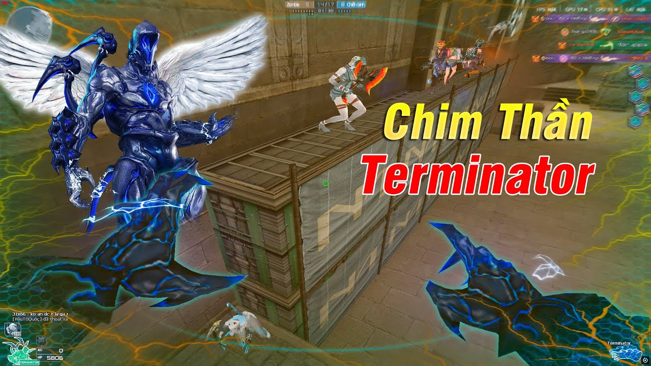 Làm Liên Tục Chim Thần Terminator CF - Rùa Ngáo