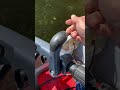 How To Start A Pull Start Yamaha Outboard How To Start A Pull Start Yamaha Outboard