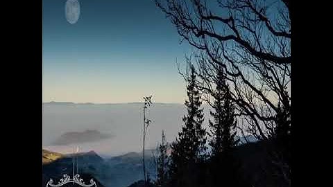 القارئ يونس اسويلص