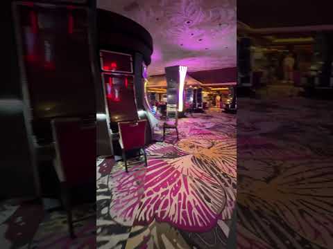 Playing €2.50 / €2.50 NL at Circus Casino Resort Namur | Poker Vlog 79