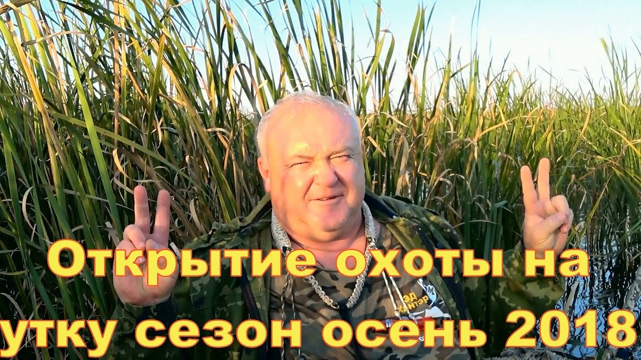 Открытие охоты на утку сезон осень 2018