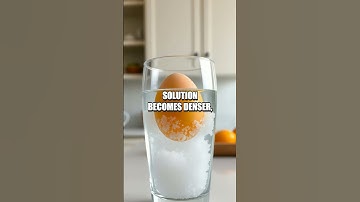 The Floating Egg Experiment