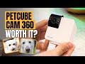 For Pet Owners who have separation anxiety... 🐶 [Petcube Cam 360 Review]