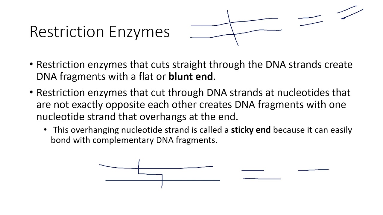 Lab 3 Lecture