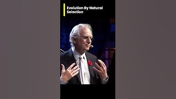 Evolution By Natural Selection - Richard Dawkins #richarddawkins #science #evolution #darwin