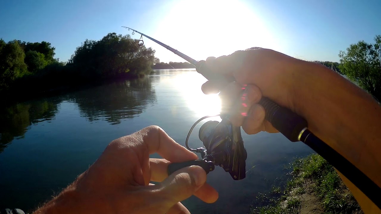 Рыбалка на реке Кубань 2.05.2018. Судак, берш, сомик