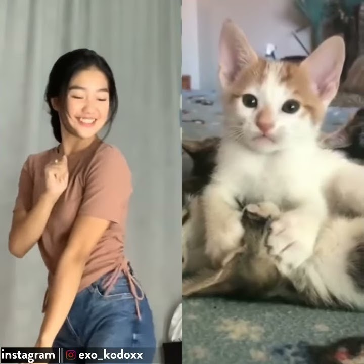 CHIKA CHIKAKU