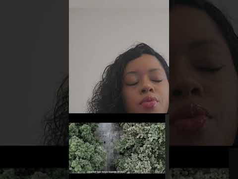 Video Selamat Tinggal Kasih